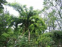 01-06-05canon_115