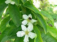 08-06-2006_12-42-17_78