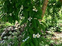 08-06-2006_12-42-41_83
