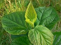 2008-09-07_08-34-50_0062