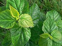 2008-09-07_08-34-50_0071