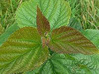 2008-09-20_09-37-22_0148