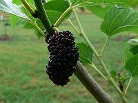 2010-07-29_08-21-48_0159