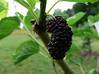 2010-07-29_08-22-12_0163