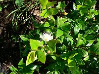 2011-07-30_08-36-37_0002