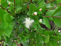 2011-08-03_15-36-28_0002