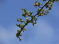 2010-05-11_18-13-07_0019