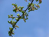 2010-05-11_18-13-51_0027