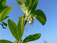 2011-04-19_08-56-24_0162