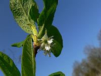 2011-04-19_08-56-59_0167