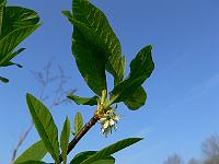 2011-04-20_08-00-55_0085