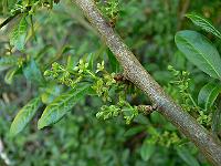 07-05-2008_20-49-14_50
