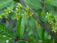 2008-05-10_09-06-02_0037