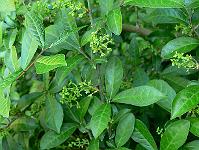 2008-05-10_09-06-02_0041
