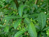 2008-05-10_09-06-02_0045