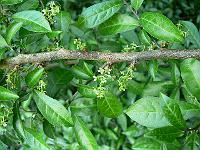 2008-05-12_04-45-23_0079