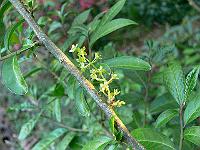 2008-05-12_04-45-23_0086