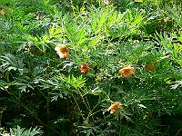 01-06-2007_09-46-58_77