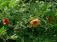 01-06-2007_09-47-05_79