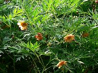 01-06-2007_09-47-15_82
