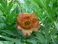 04-06-2007_10-56-55_13