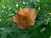 04-06-2007_10-57-02_16