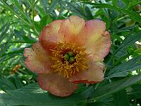 04-06-2007_10-57-09_19