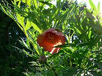 25-05-2007_08-14-22_16