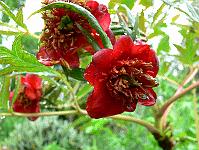 2010-06-07_14-45-20_0039