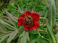 2010-06-08_07-33-29_0006