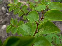 2009-06-24_08-15-44_0032