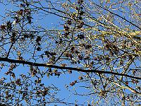 2009-04-18_07-22-54_0127
