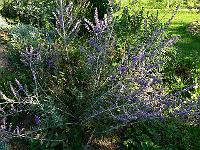 2009-09-15_08-26-20_0005