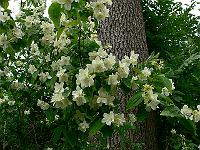2010-06-26_08-49-06_0051