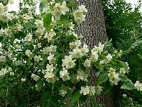 2010-06-26_08-49-07_0053