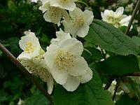 2010-06-26_08-49-35_0057
