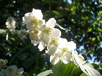 04-07-05kodak_191