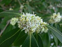 16-04-2007_19-25-02_60