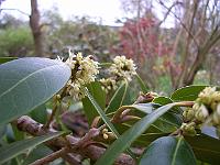 30-04-05kodak_103
