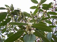 30-04-05kodak_106