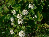 2010-06-24_08-43-56_0038