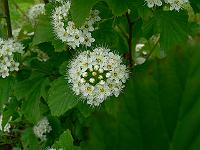 2010-06-26_13-04-40_0037