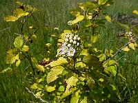 2010-06-21_10-08-07_0058
