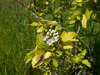 2010-06-21_10-08-15_0061