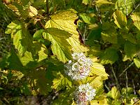 2010-06-24_08-42-36_0036