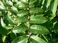 2009-09-21_09-06-45_0020