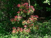 2010-05-20_15-44-37_0260