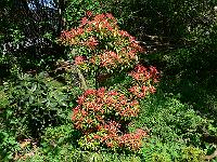 2011-04-29_13-46-38_0002