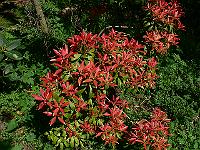2011-04-29_13-47-01_0007