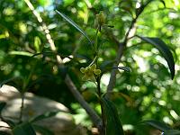 2010-06-04_09-48-13_0001